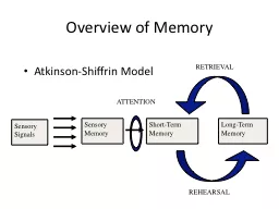 Overview of Memory