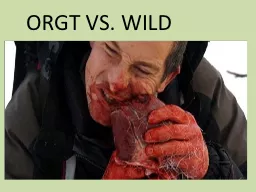 ORGT VS. WILD