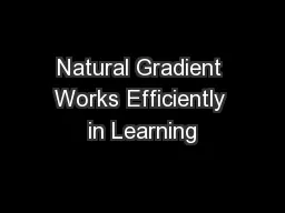 Natural Gradient Works Efficiently in Learning