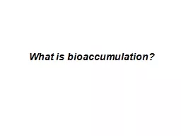 What is bioaccumulation?