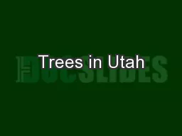 Trees in Utah