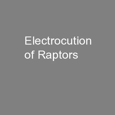 Electrocution of Raptors