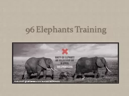 96 Elephants Training