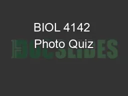 BIOL 4142 Photo Quiz