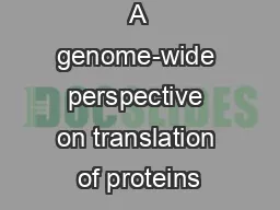A genome-wide perspective on translation of proteins