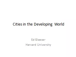Cities in the Developing World