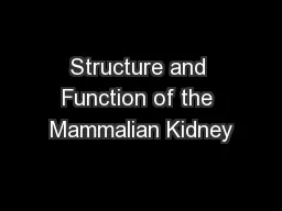 Structure and Function of the Mammalian Kidney