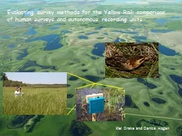 Evaluating survey methods for the Yellow Rail: