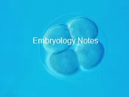 Embryology Notes