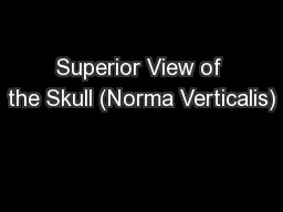 Superior View of the Skull (Norma Verticalis)
