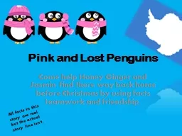 Pink and Lost Penguins
