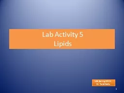 Lab Activity 5