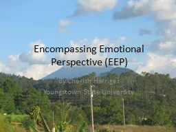 Encompassing Emotional Perspective (EEP)