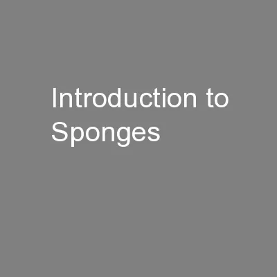 Introduction to Sponges