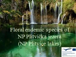 Floral endemic species of   NP Plitvička jezera