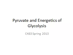 Pyruvate and Energetics of