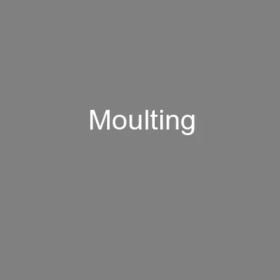 Moulting
