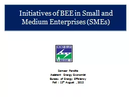 Initiatives of BEE in Small and Medium Enterprises (SMEs)