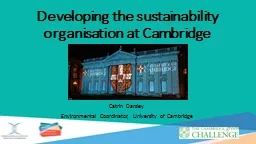 Developing the sustainability organisation at
