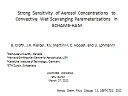 Strong Sensitivity of Aerosol Concentrations to Convective