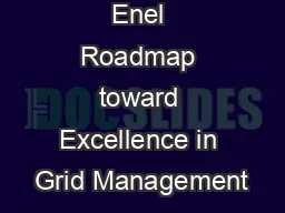Enel Roadmap toward Excellence in Grid Management