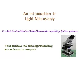 An Introduction to Light Microscopy