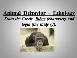Animal Behavior -- Ethology