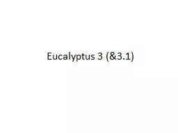 Eucalyptus 3 (&3.1)