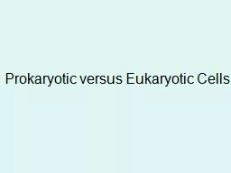 Prokaryotic versus Eukaryotic Cells