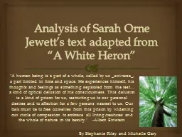Analysis of Sarah Orne Jewett’s text adapted from “A Wh