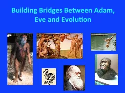 Building Bridges Between Adam, Eve and Evolution