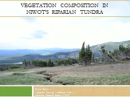 Vegetation Composition in