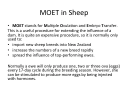 MOET in Sheep