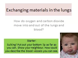 Exchanging materials in the lungs