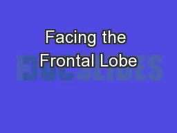 Facing the Frontal Lobe