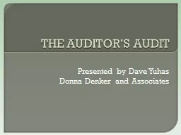 THE AUDITOR’S AUDIT