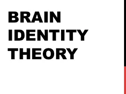 Brain identity theory