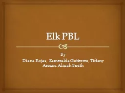 Elk PBL