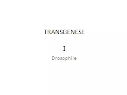 TRANSGENESE
