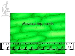 Measuring cells