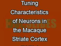 Binocular Spatial Phase Tuning Characteristics of Neurons in the Macaque Striate Cortex