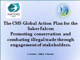 The CMS Global Action Plan for the Saker Falcon