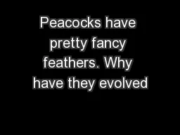 Peacocks have pretty fancy feathers. Why have they evolved