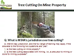 Tree Cutting On Mine Property