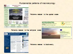 Fundamental patterns of macroecology