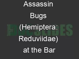 Ecology of Assassin Bugs (Hemiptera: Reduviidae) at the Bar