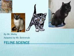 Feline Science