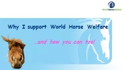 Why I support World Horse Welfare