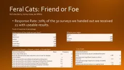 Feral Cats: Friend or Foe
