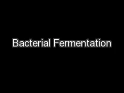 Bacterial Fermentation